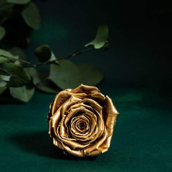 Preserved Metallic Gold Roses