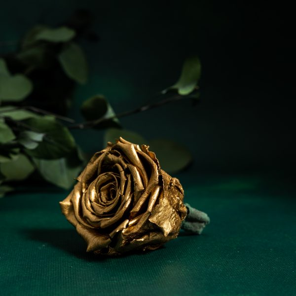 Preserved Metallic Gold Roses
