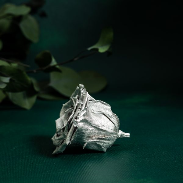 Preserved Metallic Silver Roses