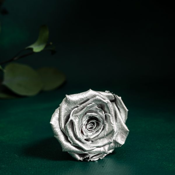 Preserved Metallic Silver Roses
