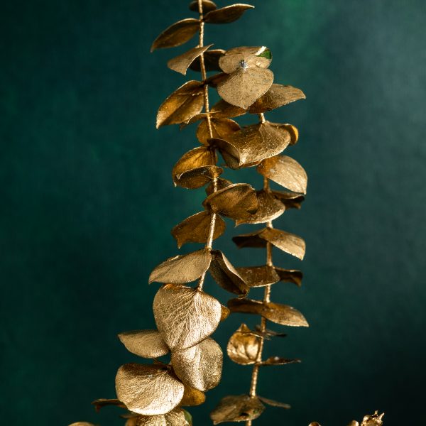 Preserved Gold Eucalyptus Baby Foliage