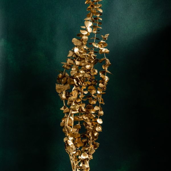 Preserved Gold Eucalyptus Baby Foliage