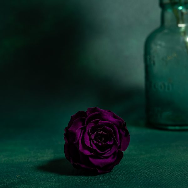 Preserved Purple Roses