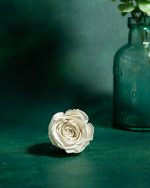 Preserved White Roses