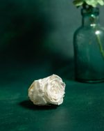 Preserved White Roses