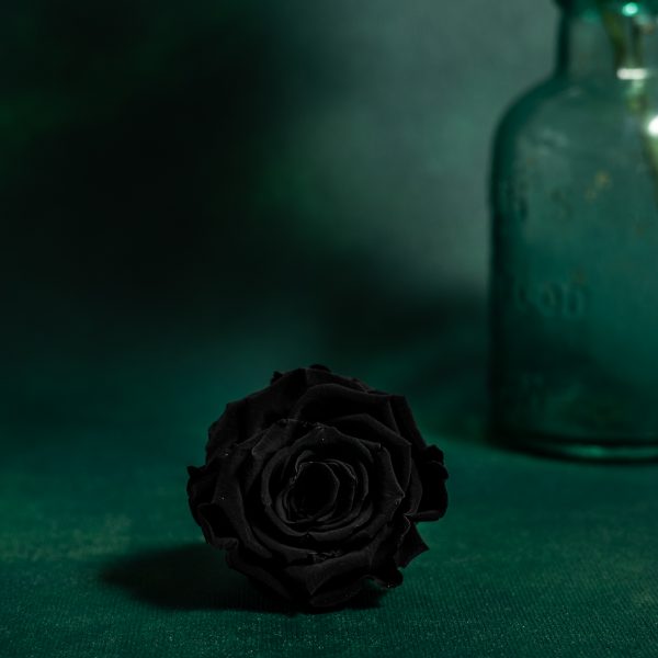 Preserved Black Roses
