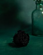 Preserved Black Roses